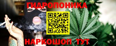 мяу мяу мука Гусь-Хрустальный