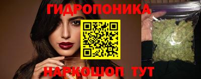 мяу мяу мука Гусь-Хрустальный
