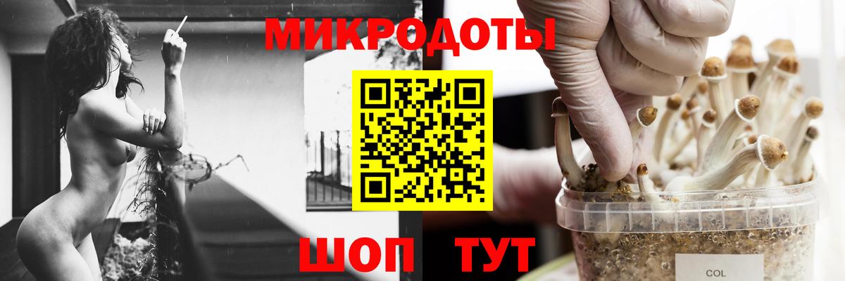 Новоалтайск  Псилоцибиновые грибы мухоморы  Псилоцибиновые грибы Psilocybine cubensis  Вход с VPN 